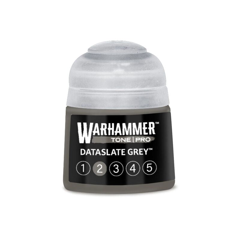 Dataslate Grey 2 (12ml)