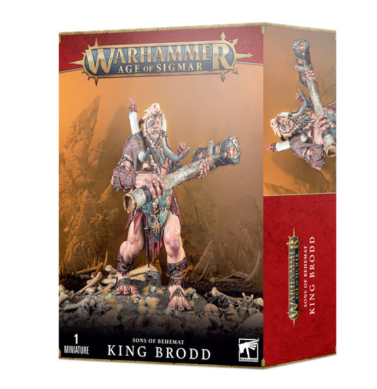 Warhammer Age of Sigmar - ROI BRODD