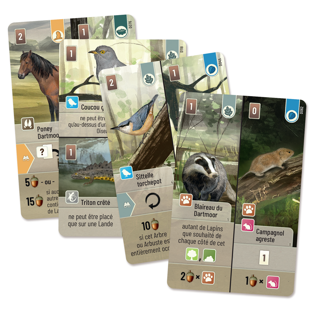 Forêt Mixte - Dartmoor (jeu indépendant) (français)