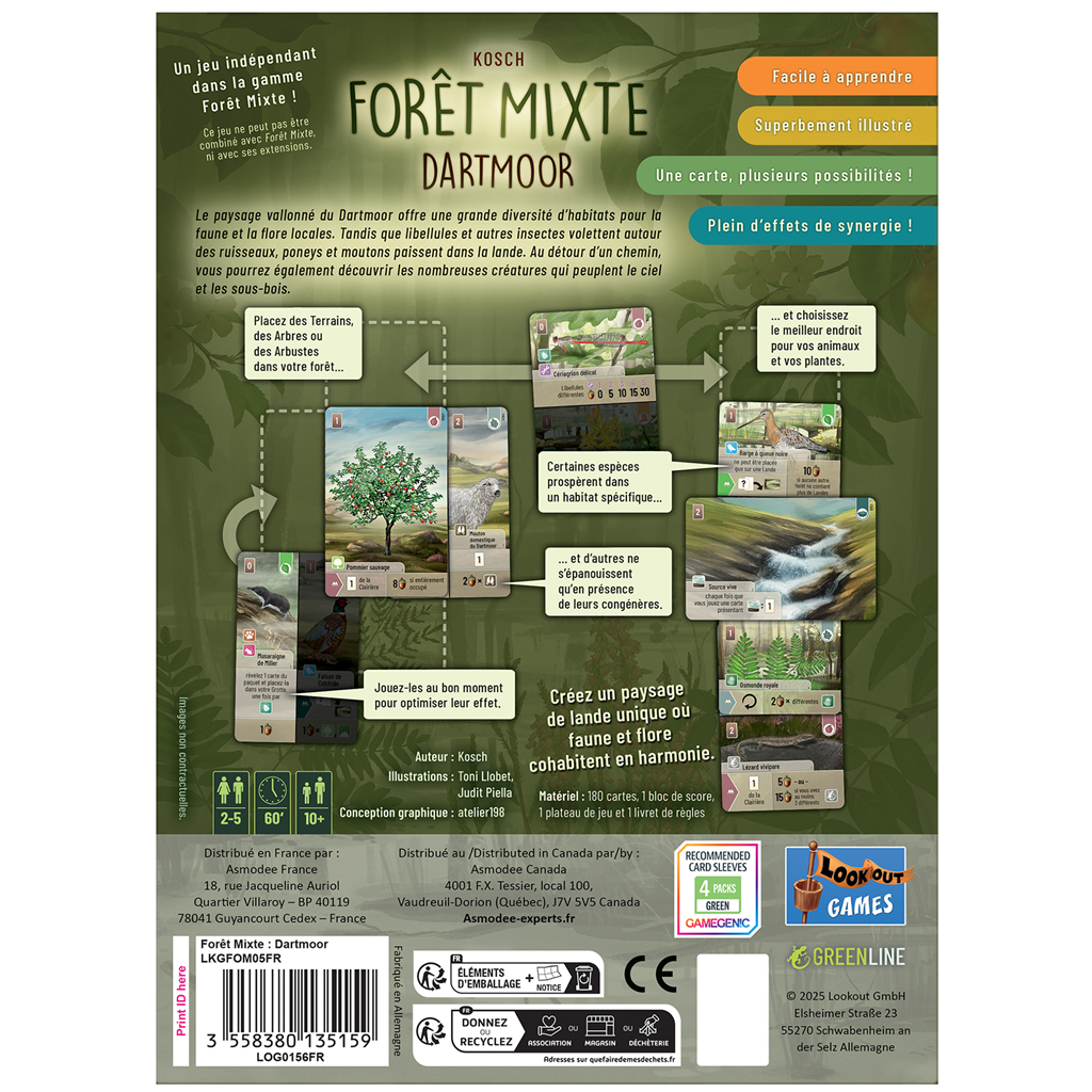 Forêt Mixte - Dartmoor (jeu indépendant) (français)