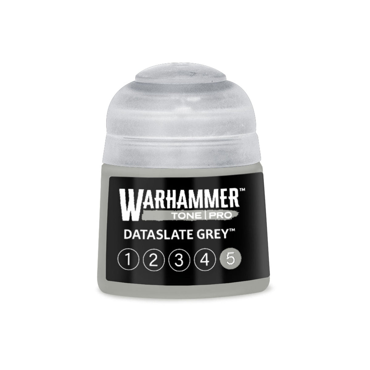 Dataslate Grey 5 (12ml)